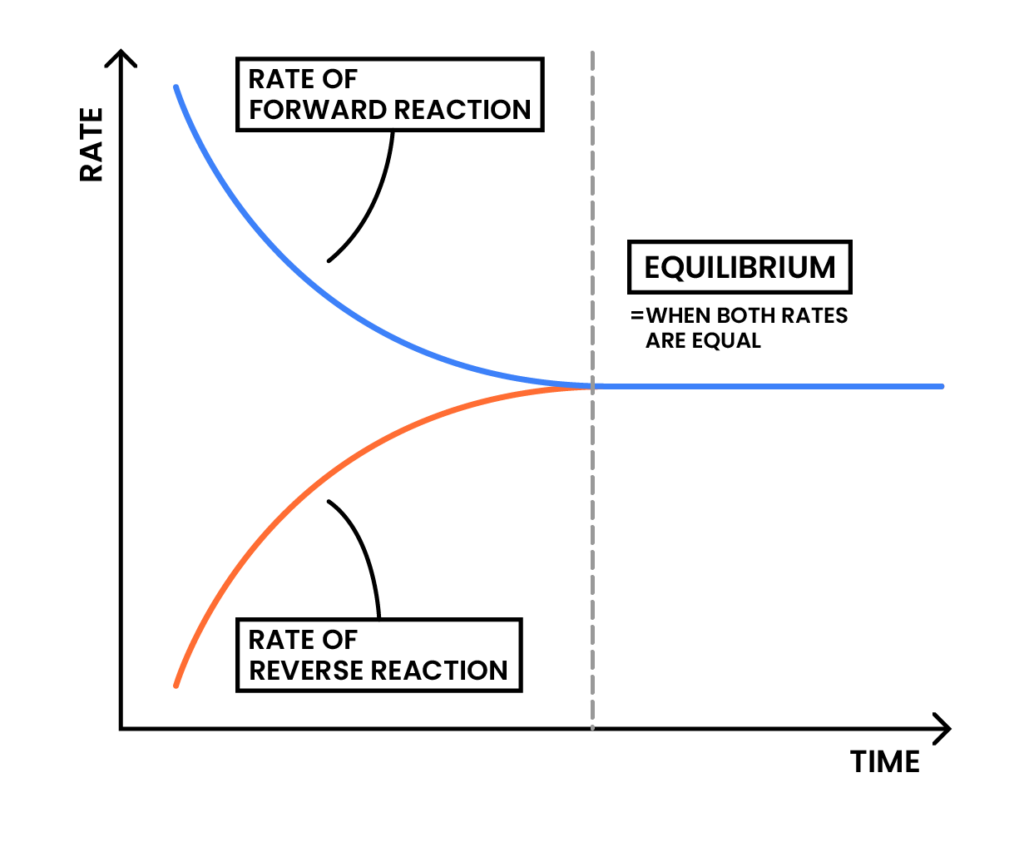 Reversible Reactions and Equilibria - Studia Academy Resources