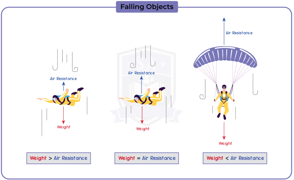 1.2 Forces, Movement, Shape and Momentum - Studia Academy