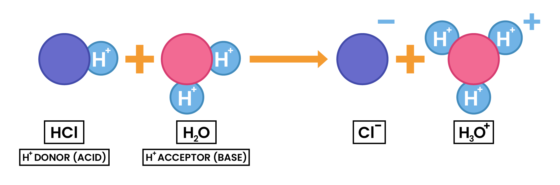 edexcel_igcse_chemistry_topic 16_acids, bases, and salt preparations_002_hydrogen donors and hydrogen acceptors diagram ionic half equation