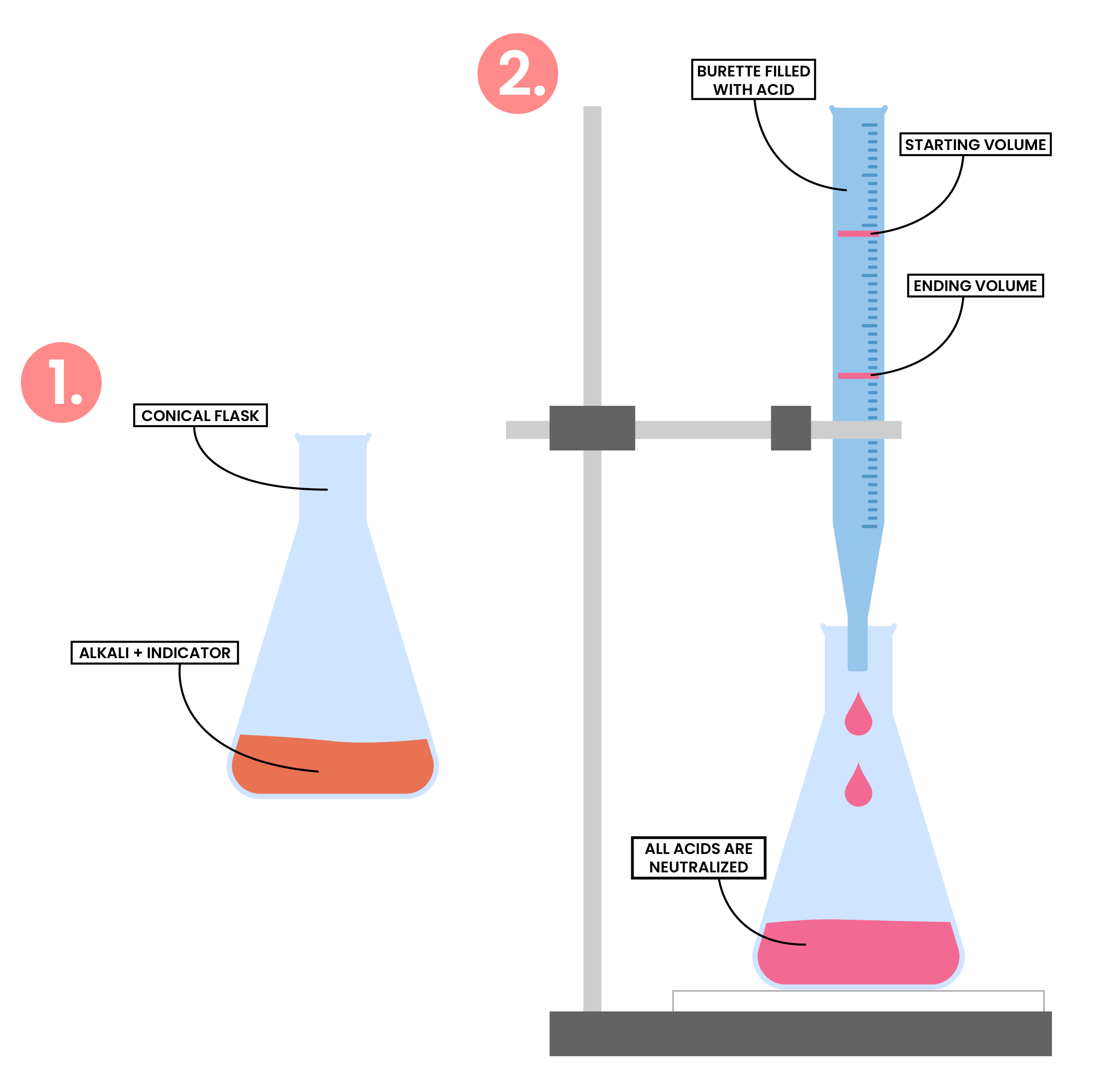 edexcel_igcse_chemistry_topic 16_acids, bases, and salt preparations_004_titration of salts step by step diagram labelled