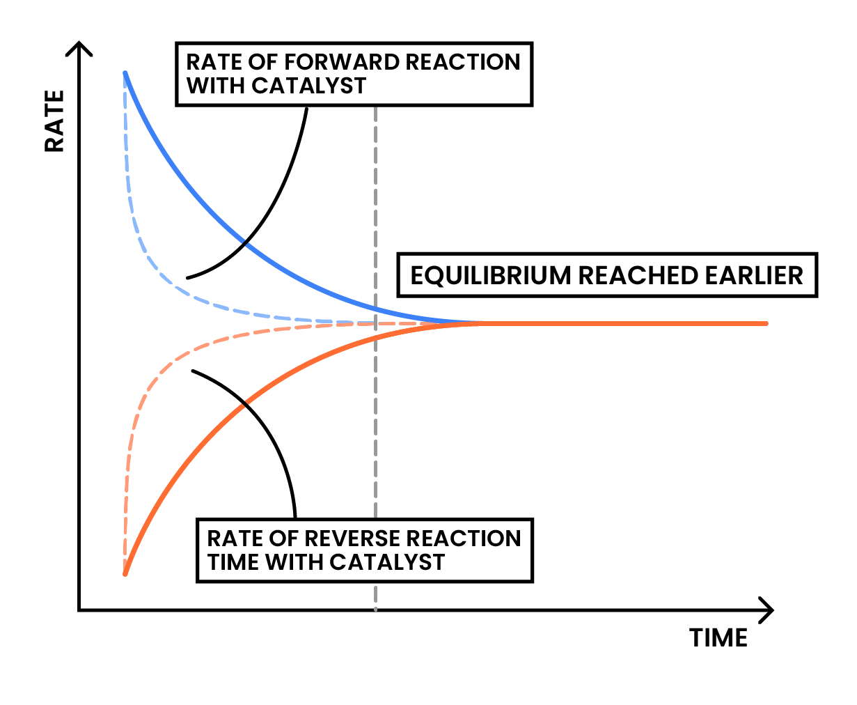 edexcel_igcse_chemistry_topic 20_reversible reactions and equilibria_004_catalyst effect on rate of reaction