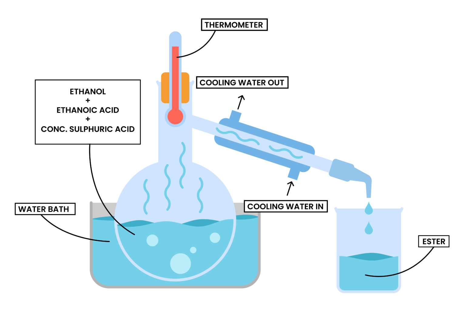 Edexcel Igcse Chemistry Topic Esters Ester Production Experiment Diagram Studia Academy