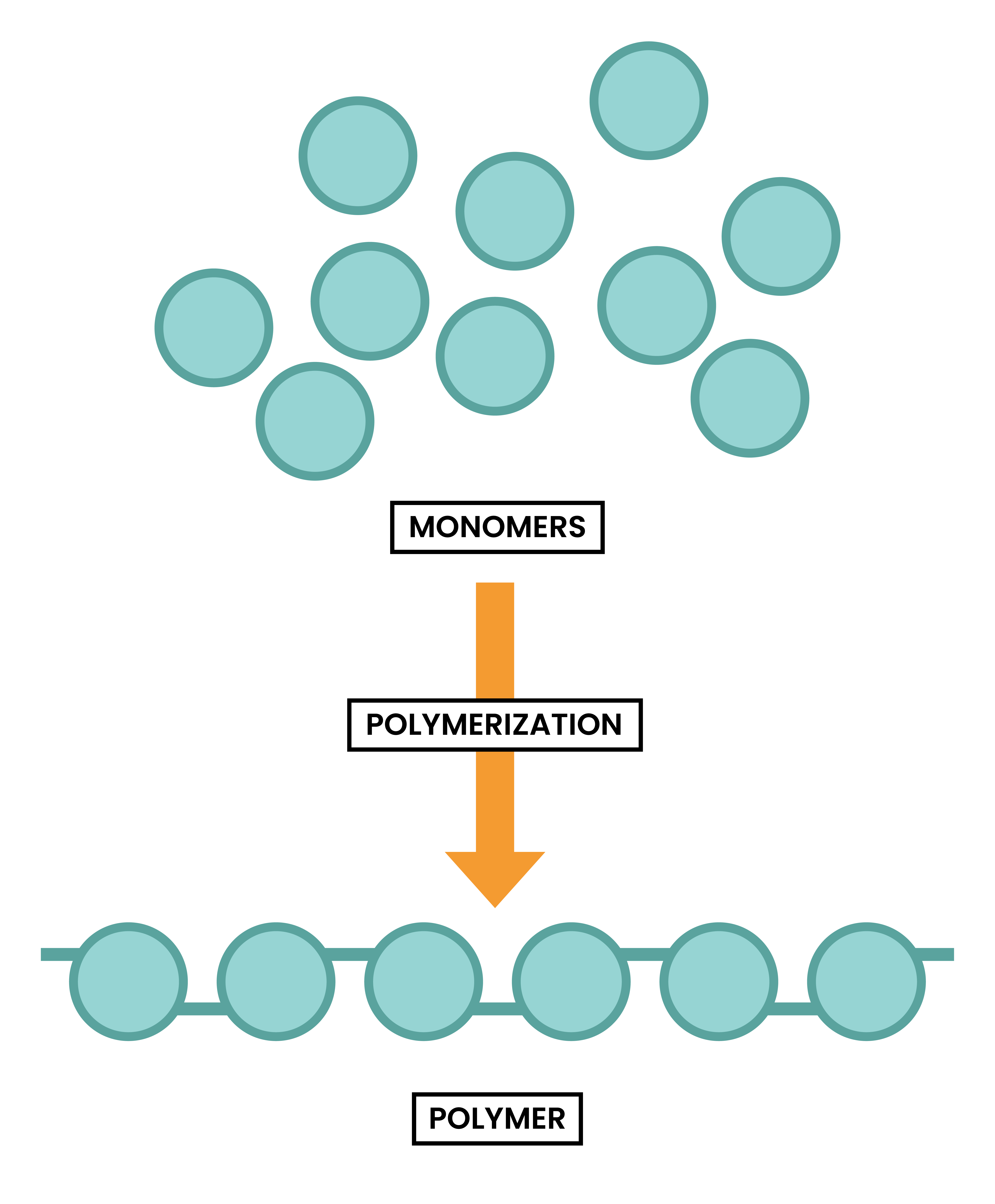 Edexcel Igcse Chemistry Topic Synthetic Polymers Forming Of Addition Polymer Studia Academy