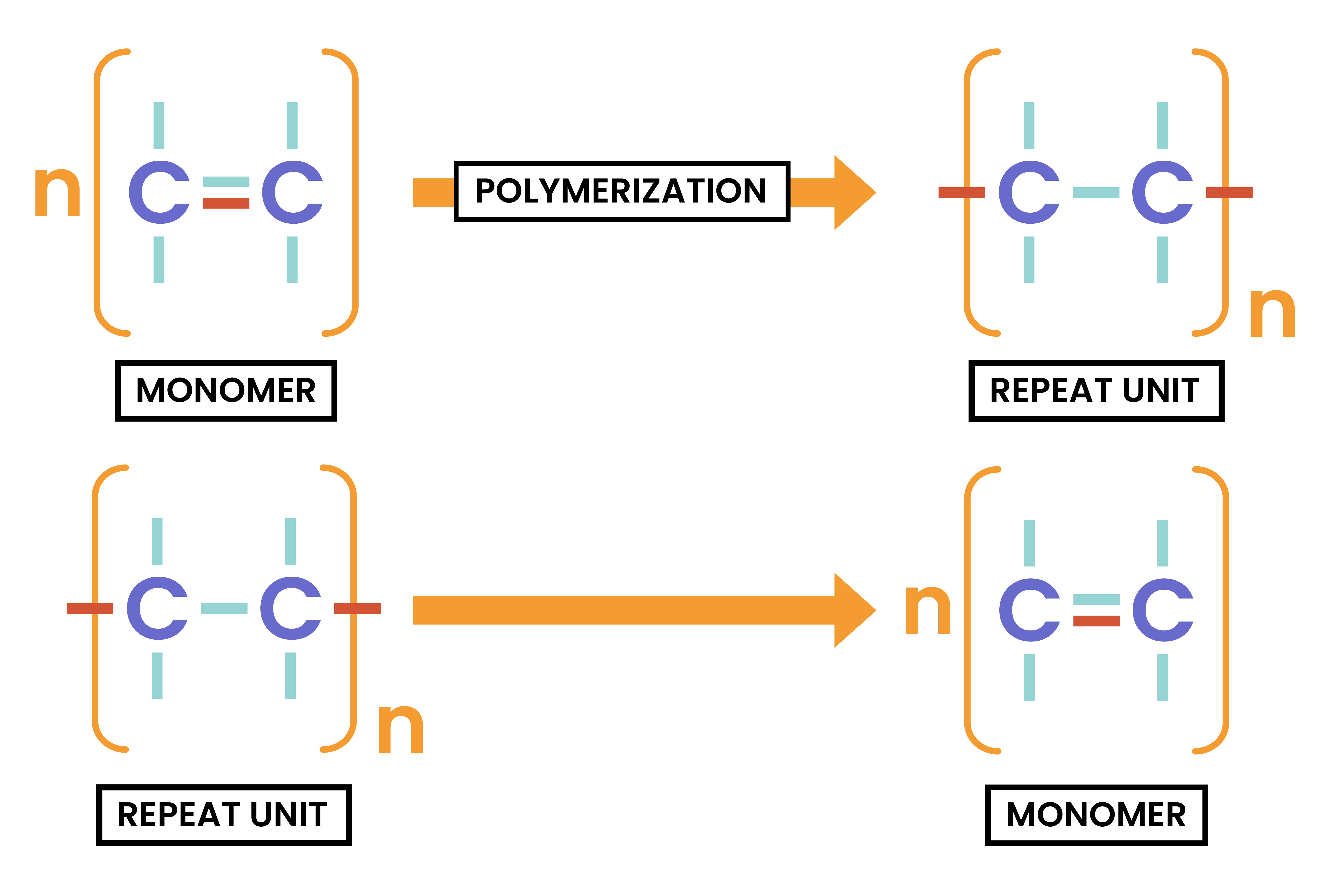 edexcel_igcse_chemistry_topic 28_synthetic polymers_003_monomer to repeat unit and repeat unit to monomer diagram
